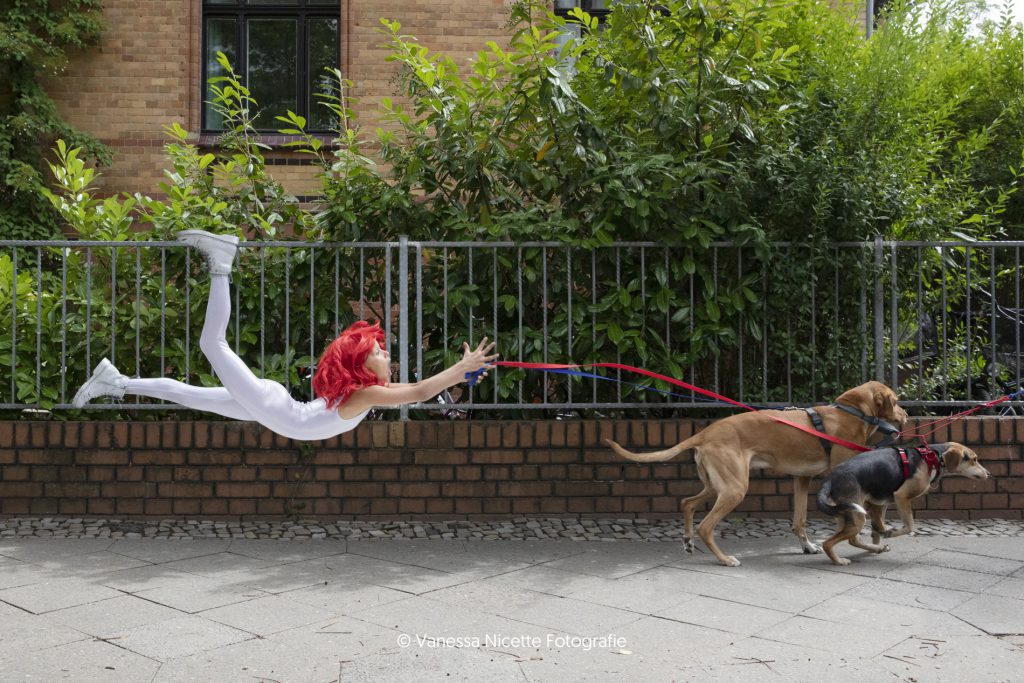 The Dog Walk